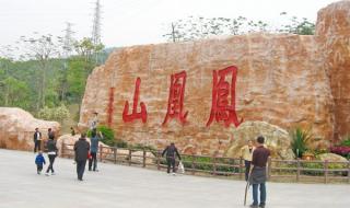 广州凤凰山森林公园 广州凤凰山森林公园